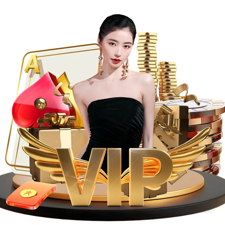 Live Chat Support
